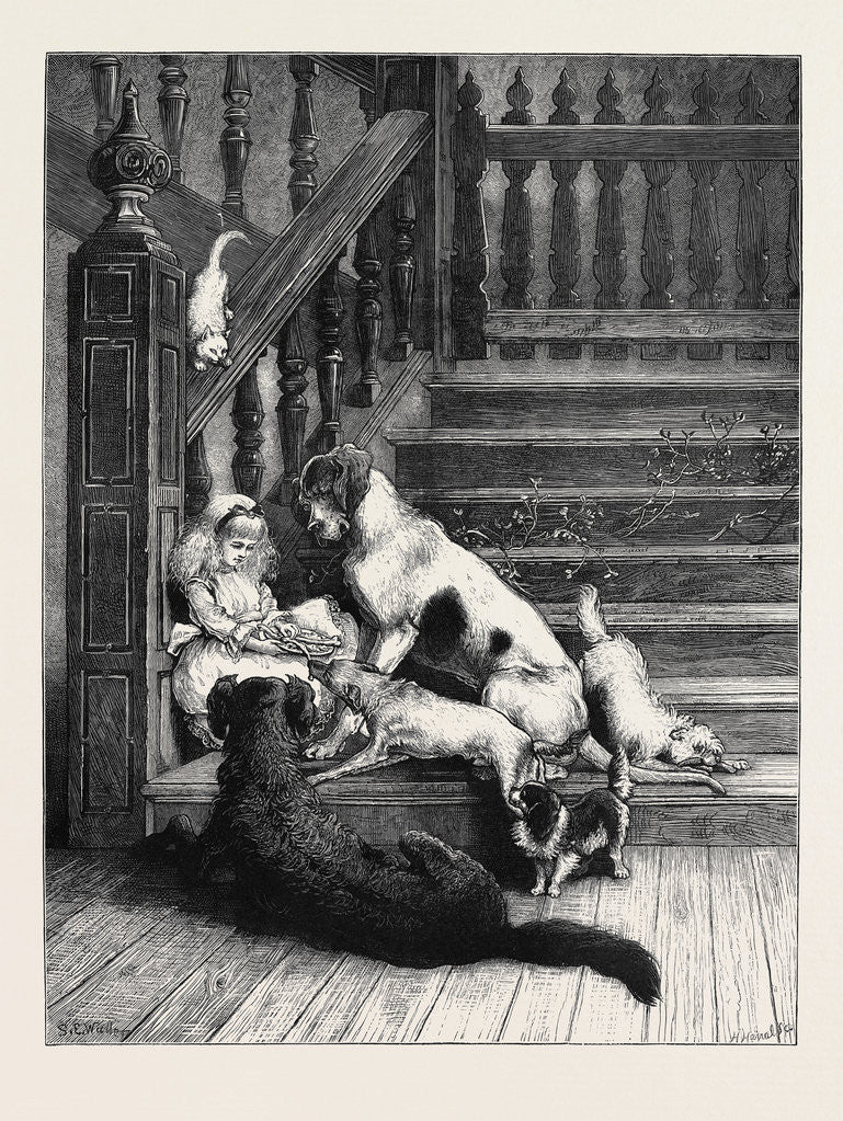 Detail of The Dogs' Christmas Dinner by Anonymous