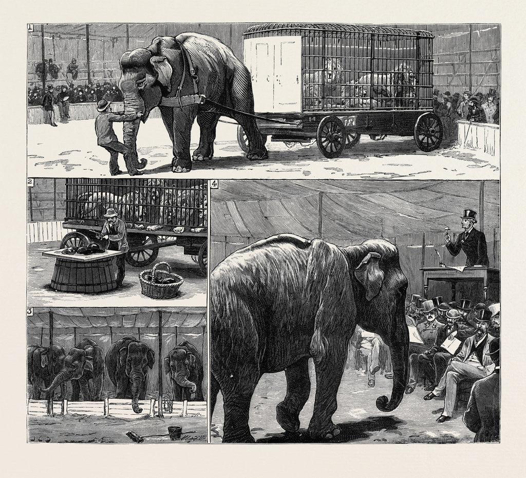 Detail of The Sale by Auction of Myers' Great American Circus and Hippodrome by Anonymous