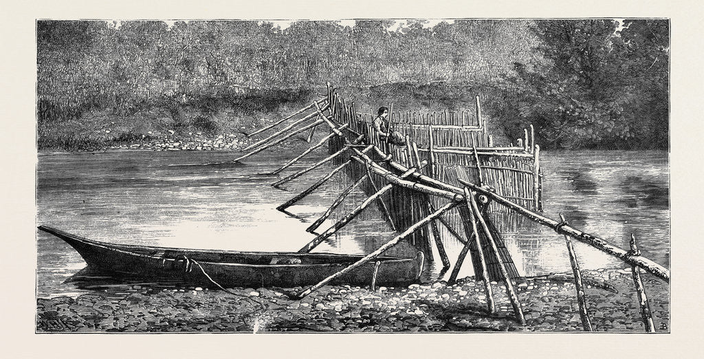 Detail of A Salmon Weir Near the Quamichan Indian Village on the Cowichan River, Vancouver Island, Canada by Anonymous