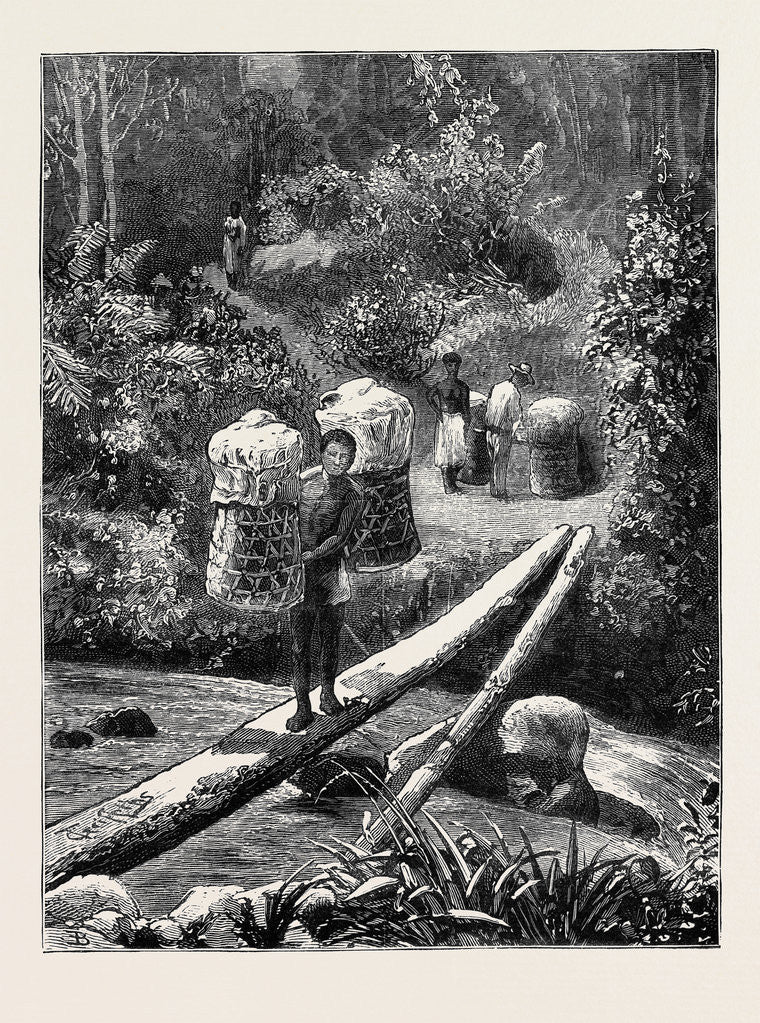 Detail of A Native Bridge, Madagascar by Anonymous