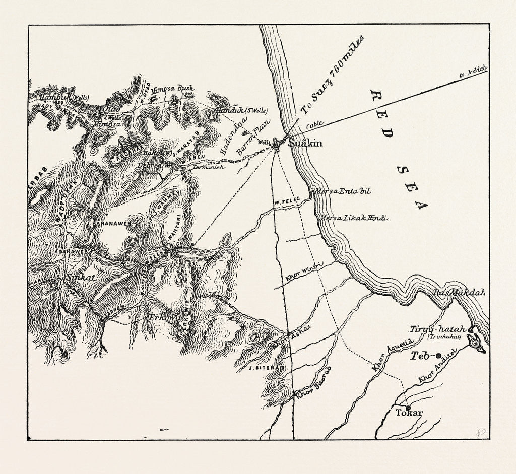 Detail of Map Showing the Place Where Baker Pasha Was Defeated February 4 1884 and the Routes from the Coast of the Red Sea to Sinkat and Tokar by Anonymous