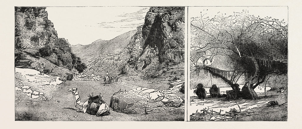 Detail of Sudan: Pass on the Road to El Ain Hamrans Drying Hippopotamus Meat by Anonymous