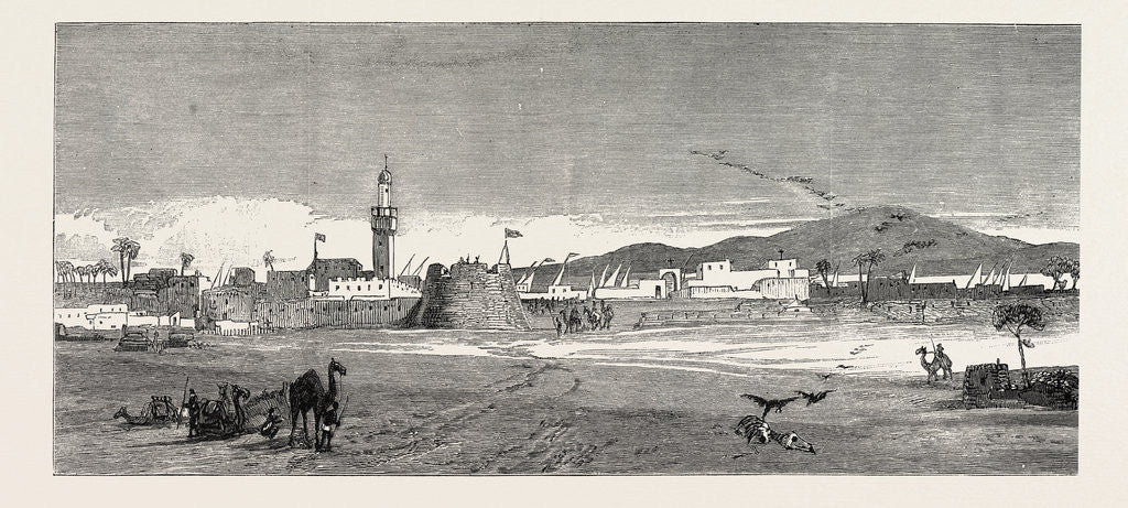 Detail of The Rebellion in the Soudan: Berber from the Desert or East Side by Anonymous