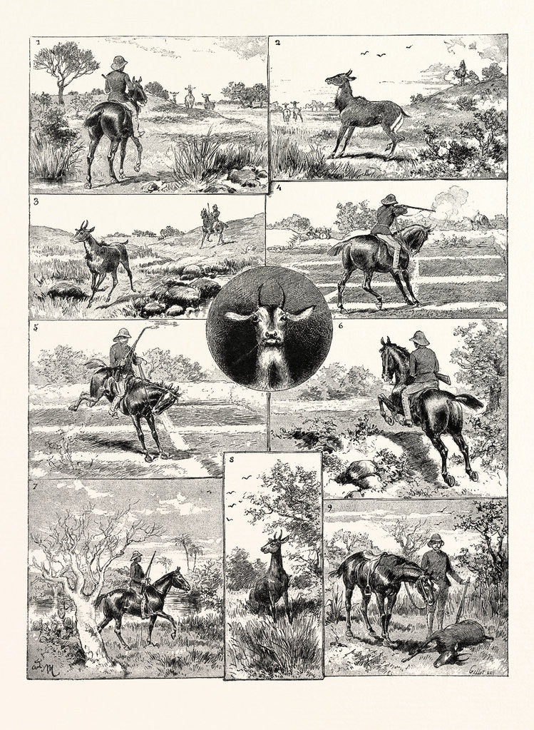 Detail of A Nylghau Hunt in India by Anonymous