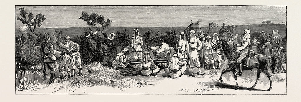 Detail of The Rebellion in the Soudan with Baker Pasha's Expedition to Relieve Tokar: Egyptian Troops Being Drilled in Making Thorn Hedges Outside Suakim Before Their Departure for Trinkitat by Anonymous