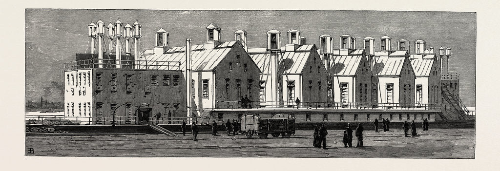 Detail of The Small-Pox Epidemic and the Metropolitan Asylums Board: The Twin-Ship Castalia Converted Into an Echelon Smallpox Hospital at Longreach by Anonymous