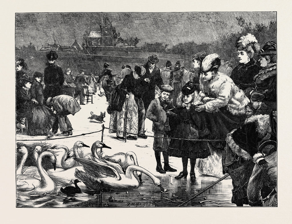 Detail of Frozen in, 1870 by Anonymous