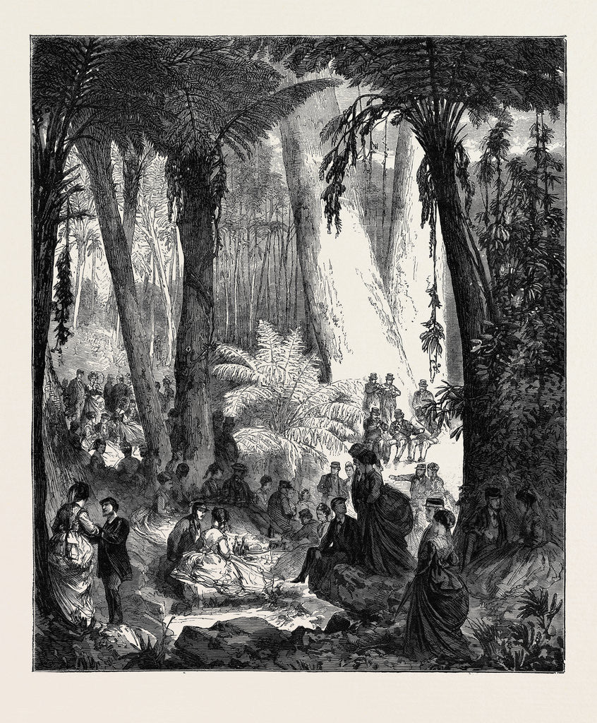 Detail of Picnic in Australia to the Officers of the Flying Squadron, 1870 by Anonymous