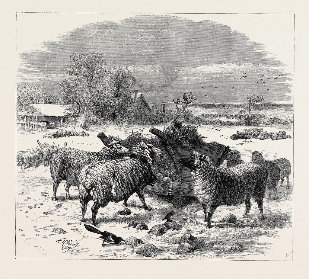 Detail of Sheep in Winter Time, 1870 by Anonymous