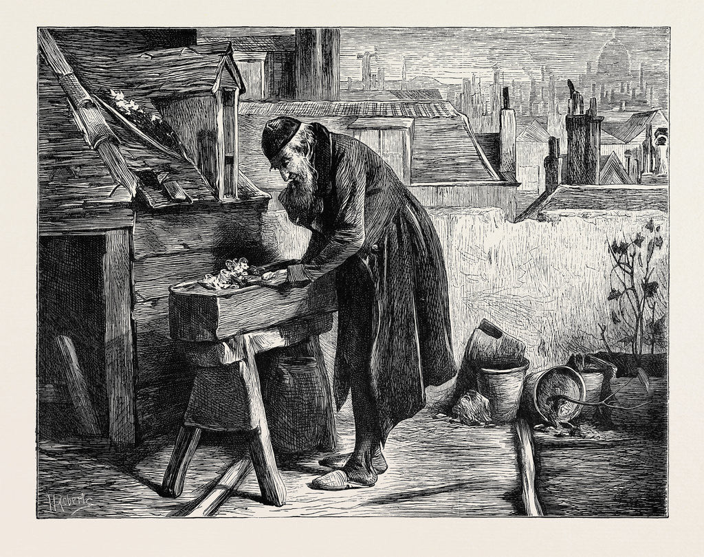 Detail of A London Garden, 1870 by Anonymous