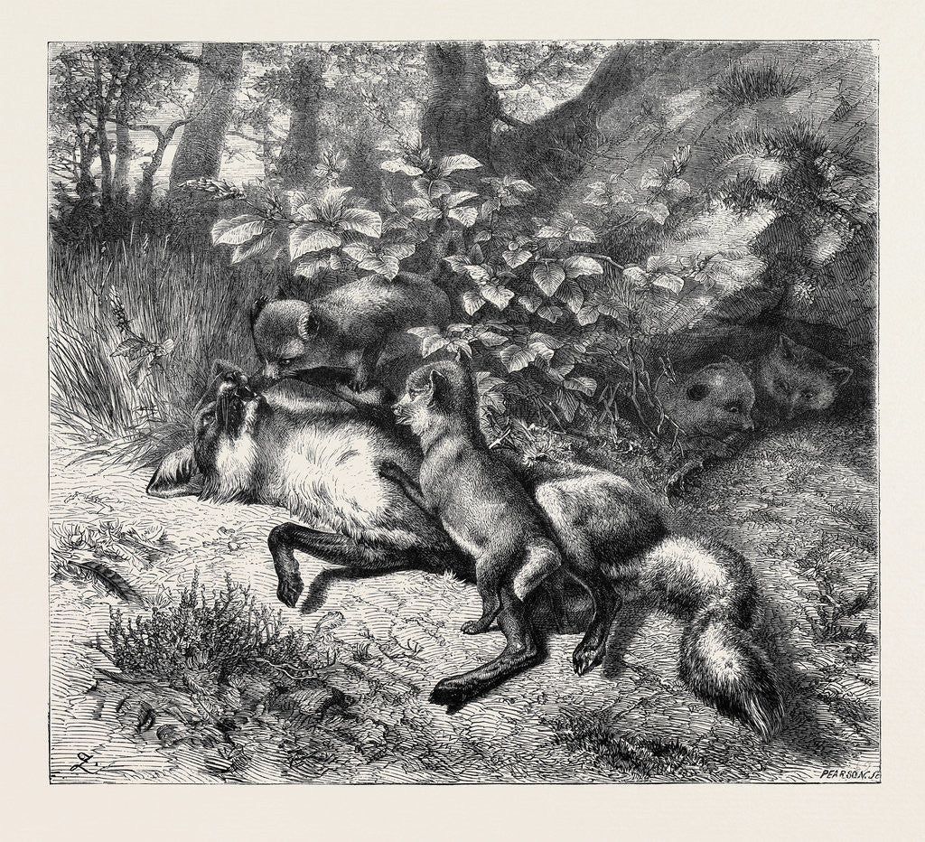 Detail of After Breakfast, from a Picture by J.B. Zwecker in the Old Bona Street Gallery, 1870 by Anonymous