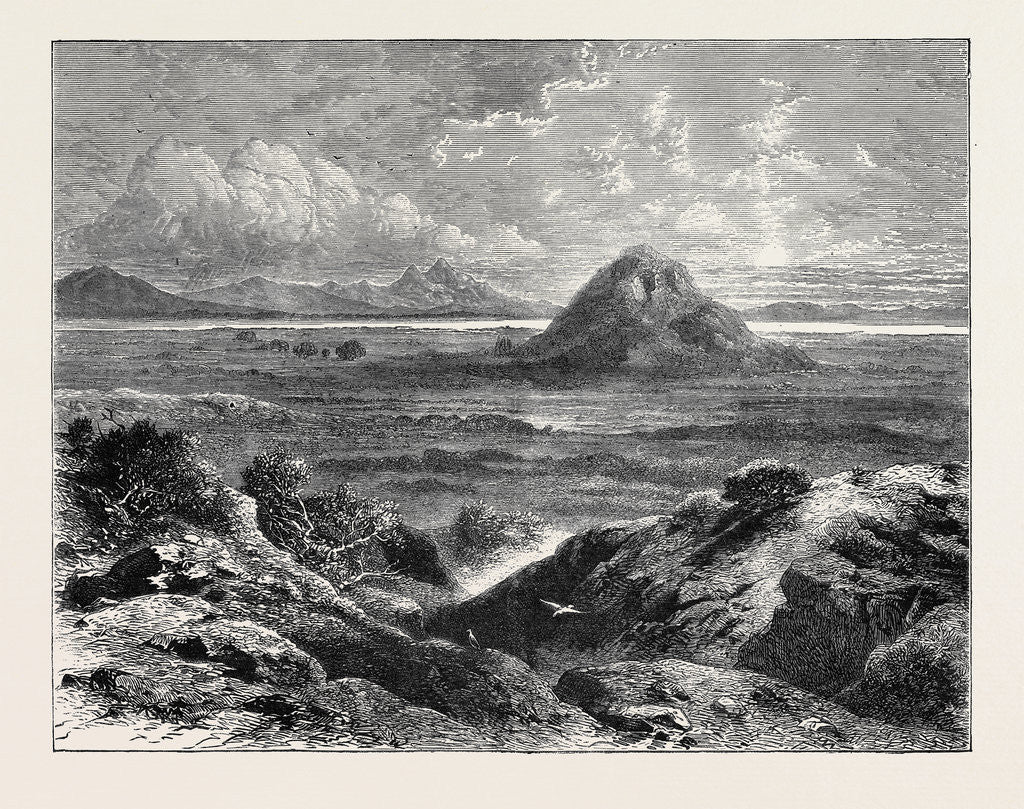 Detail of Scene of the Recent Greek Massacre at Marathon, 1870 by Anonymous