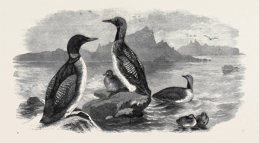 Detail of Divers, 1870 by Anonymous