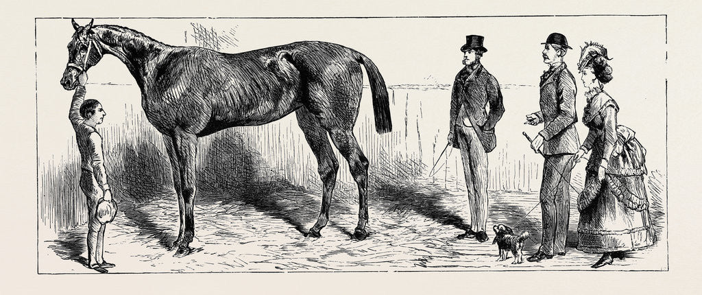 Detail of The Training of a Racehorse: At Home in the Stable, 1870 by Anonymous