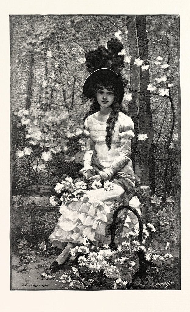 Detail of Flowers after E. Toudouze by Anonymous