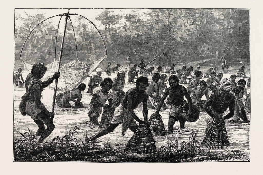 Detail of Beel-Fishing in Assam. by Anonymous