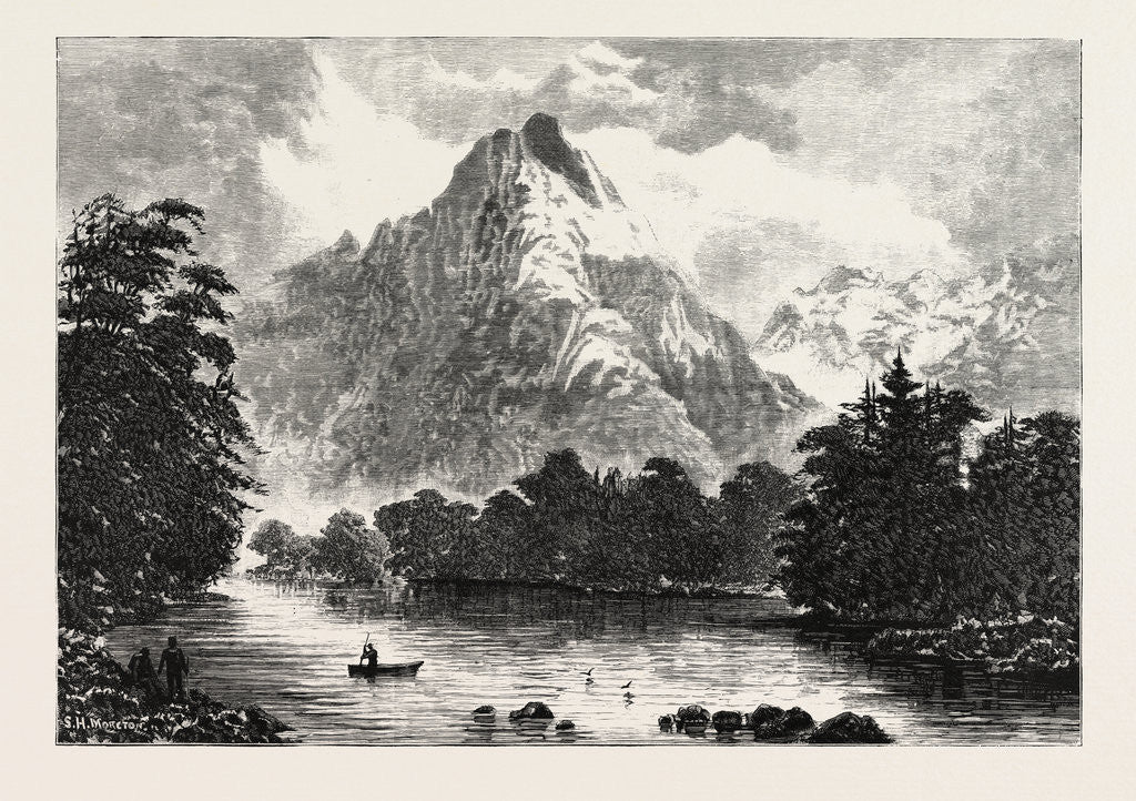 Detail of The Barren Peaks Milford Sound New Zealand by Anonymous