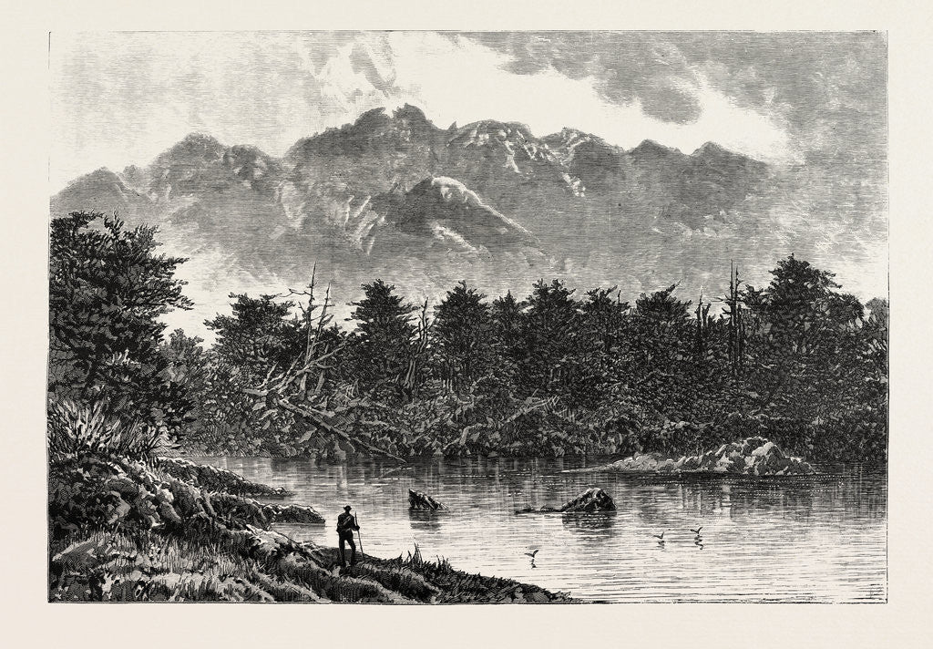 Detail of Te Anau One of the New Zealand Lakes: Mount Oilé from Botanist Bay by Anonymous