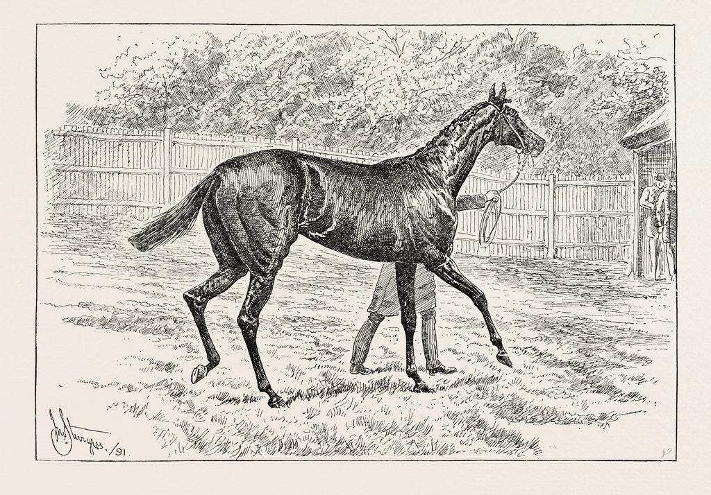 Detail of Common Winner of the Derby. by Anonymous