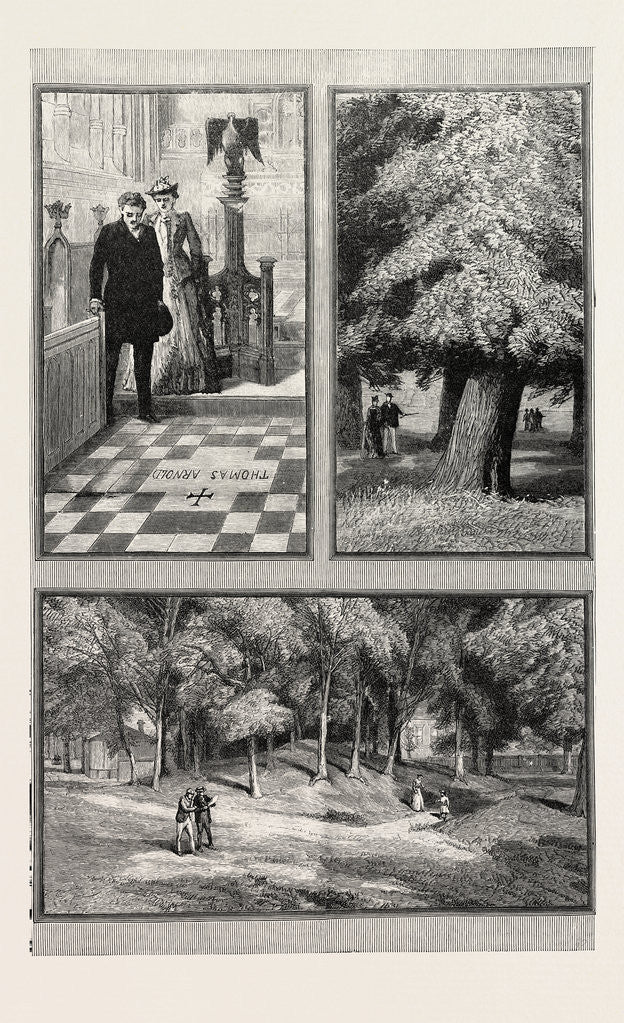 Detail of Derby School: Dr. Arnold's Grave the Last of the Three Trees the Island. by Anonymous