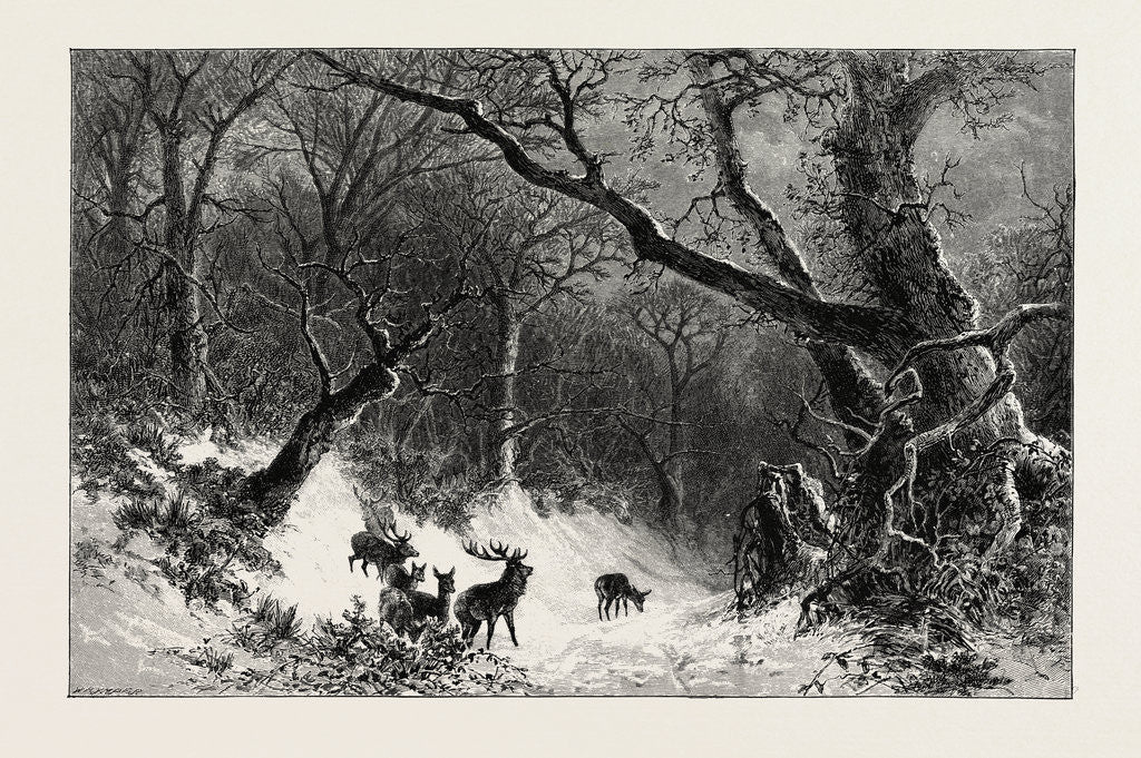 Detail of A Scandinavian Forest in Winter by Anonymous