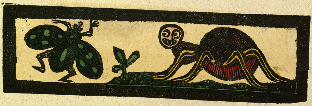 Detail of Illustration of English Tales Folk Tales and Ballads. Insects by Anonymous