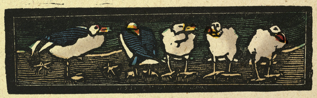 Detail of Illustration of English Tales Folk Tales and Ballads. Five Sea Gulls by Anonymous