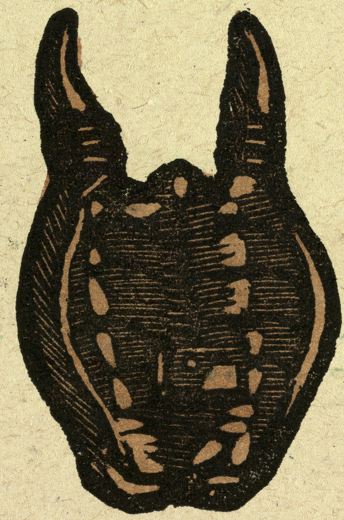 Detail of Illustration of English Tales Folk Tales and Ballads. Bag by Anonymous