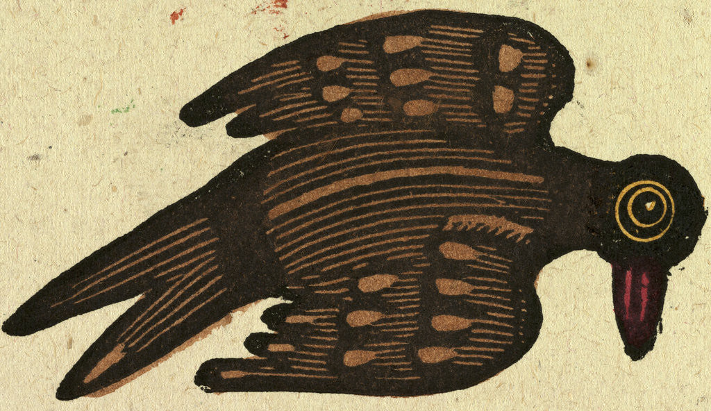 Detail of Illustration of English Tales Folk Tales and Ballads. A Bird by Anonymous