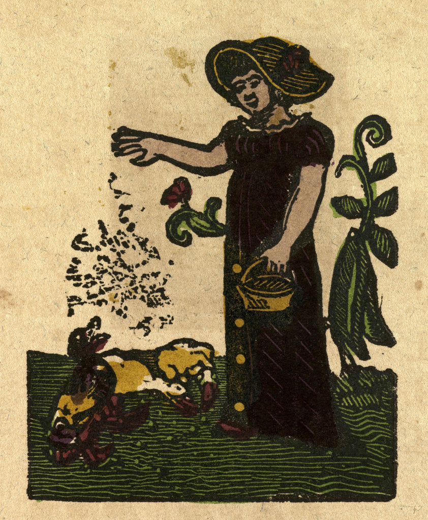 Detail of Illustration of English Tales Folk Tales and Ballads. A Woman Feeding Ducks by Anonymous