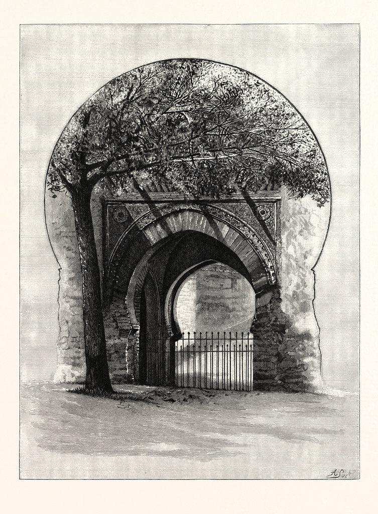 Detail of The Wine Gate, Granada, Spain by Anonymous