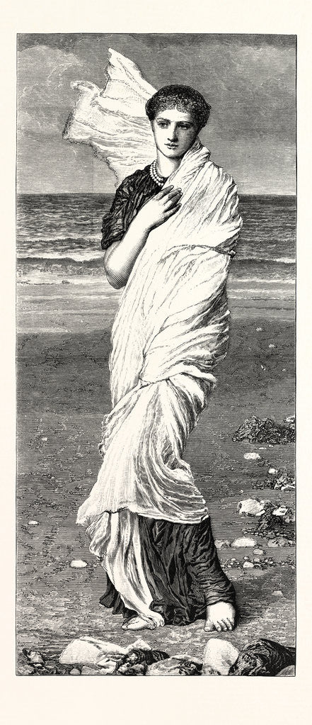 Detail of Shells by Anonymous