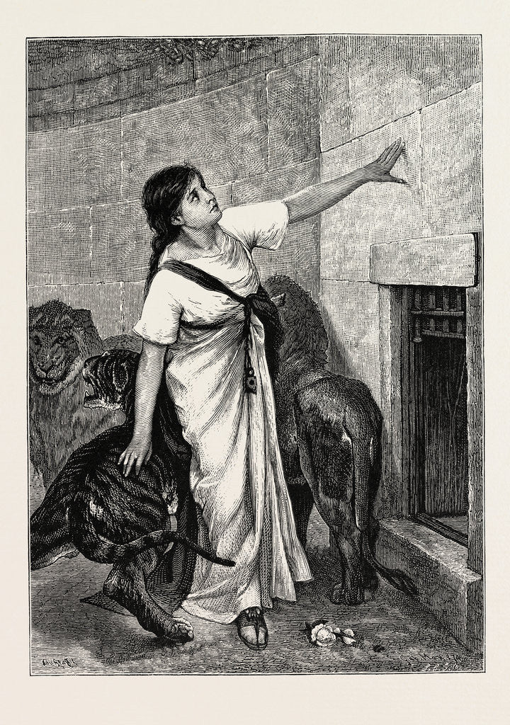 Detail of In the Coliseum or Colosseum, Rome, Italy by Anonymous