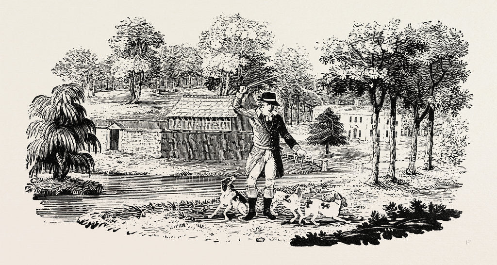 Detail of From the Chase by Anonymous