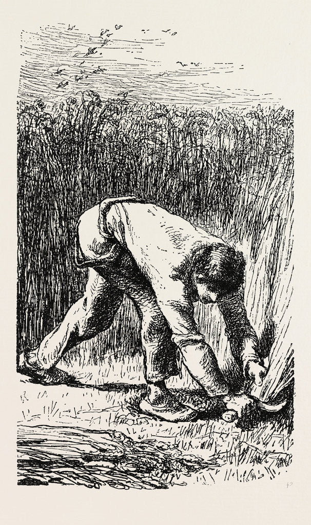 Detail of Reaping, Le Scieur De Ble by Anonymous