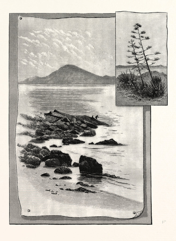 Detail of Camp Bay. Apes' Hill, Africa, in the Distance by Anonymous