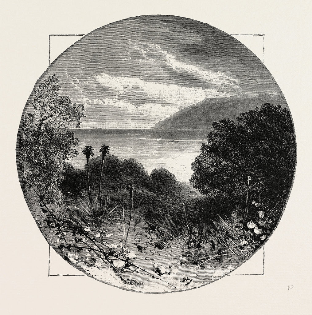 Detail of Cabrita Point, from Alameda, Gibraltar by Anonymous
