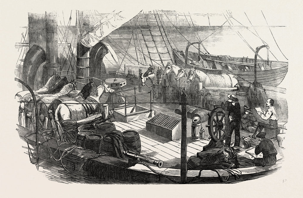 Detail of Shipping Artillery Horses at Calais for the French Expeditionary Force to the Baltic 1854 by Anonymous