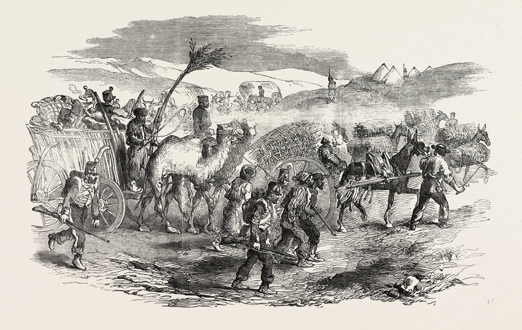 Detail of The Crimean War: The Road to Sebastopol: Commissariat Waggons Conveyance of Fascines 1854 by Anonymous