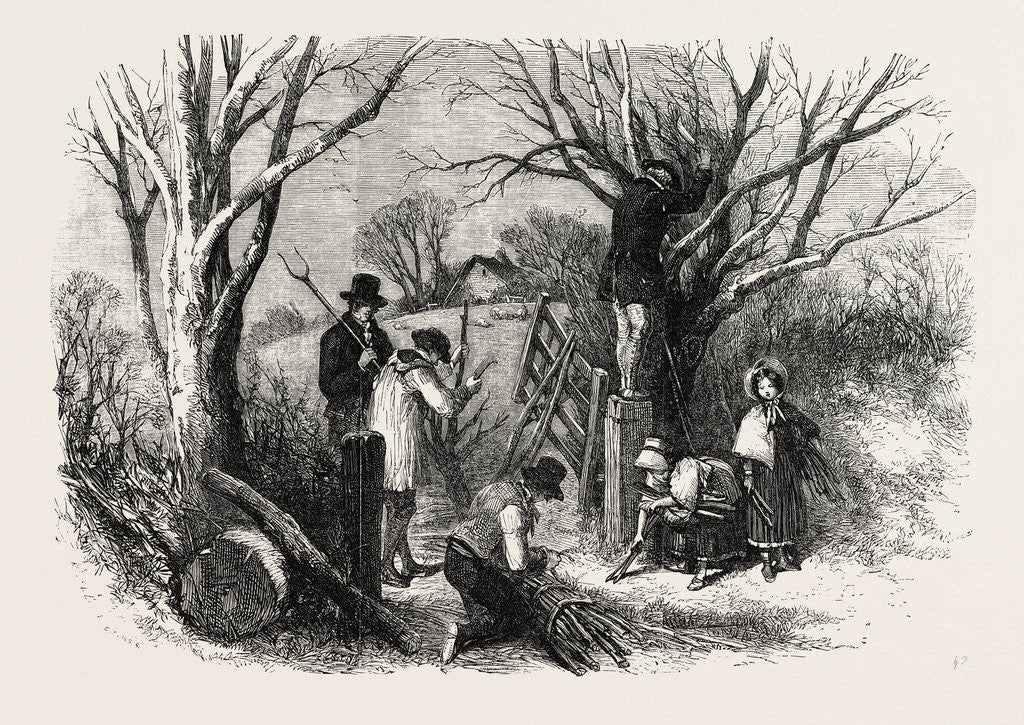 Detail of Cutting the Ashen Fagots Devonshire 1854 by Anonymous