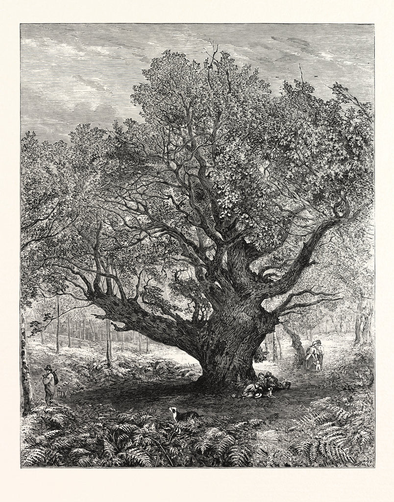 Detail of Exhibition of the Royal Academy: the Monarch Oak, 1853 by Anonymous
