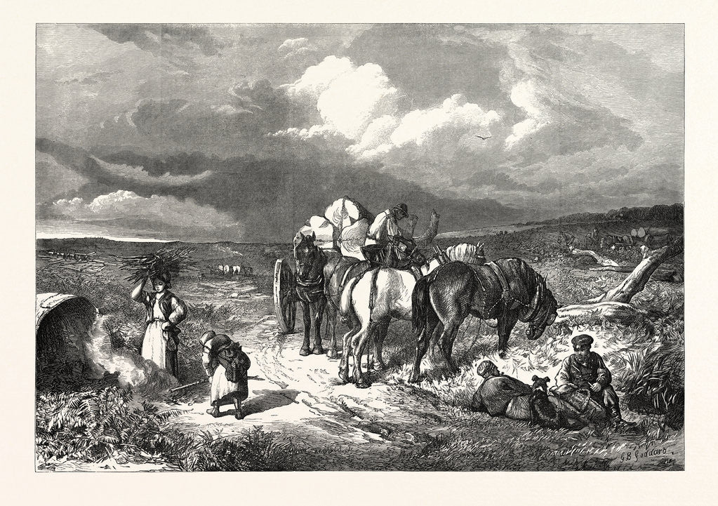 Detail of A Clearing in the New Forest, 1871 by Anonymous