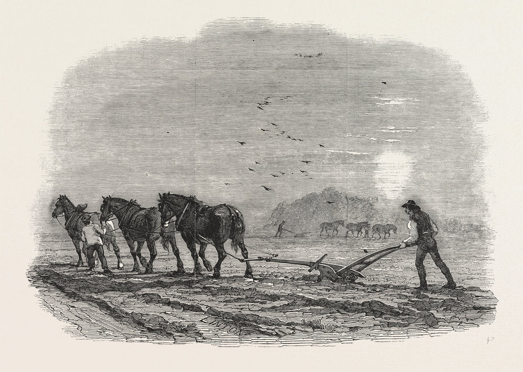 Detail of Agricultural Pictures: Ploughing, 1846 by Anonymous