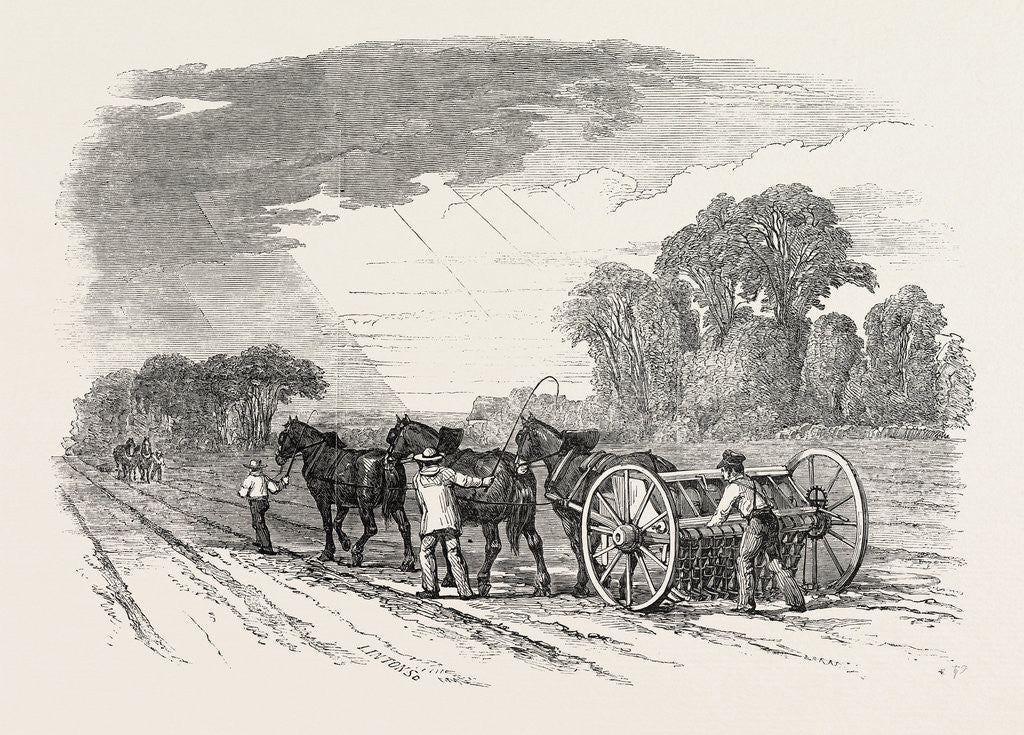 Detail of Agricultural Pictures: Drilling and Harrowing, 1846 by Anonymous