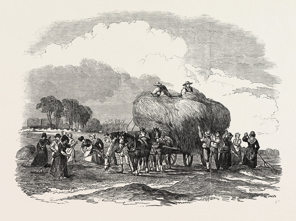 Detail of Agricultural Pictures: Hay Harvest by Anonymous