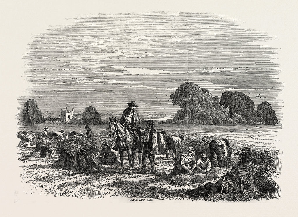 Detail of Agricultural Pictures: Wheat Harvest by Anonymous