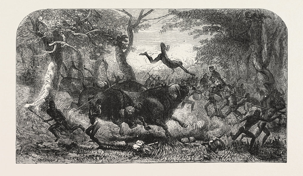 Detail of Dr Livingstone's Missionary Travels and Researchers in South Africa: The Travelling Procession Interrupted, 1857 by Anonymous
