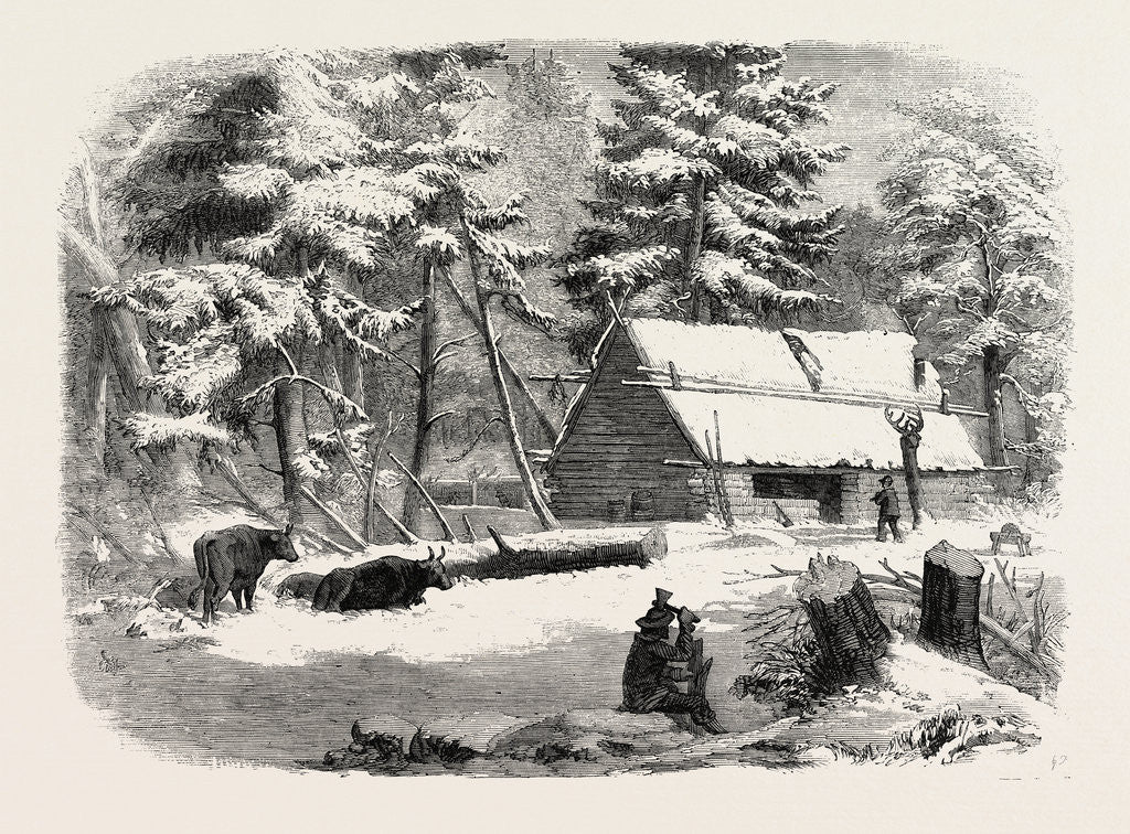 Detail of Lumbering in New Brunswick, Lumberman's Camp House, 1858 by Anonymous