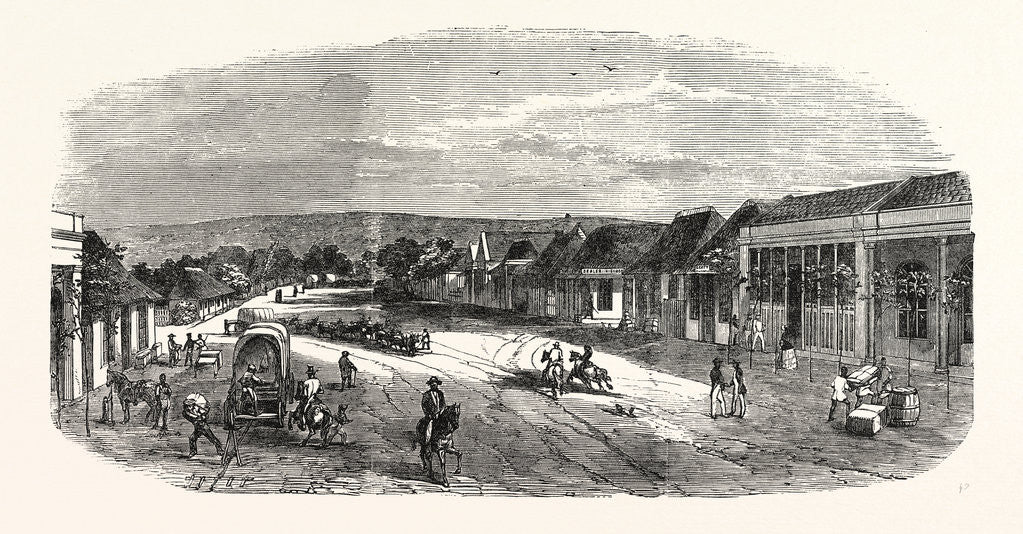 Detail of West Street, in D'Urban, 1855 by Anonymous