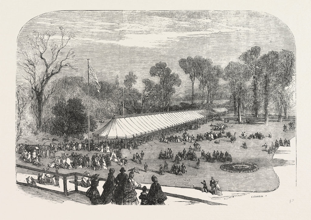 Detail of Exhibition of the Horticultural Society, at Gore House, Kensington, London, 1855 by Anonymous